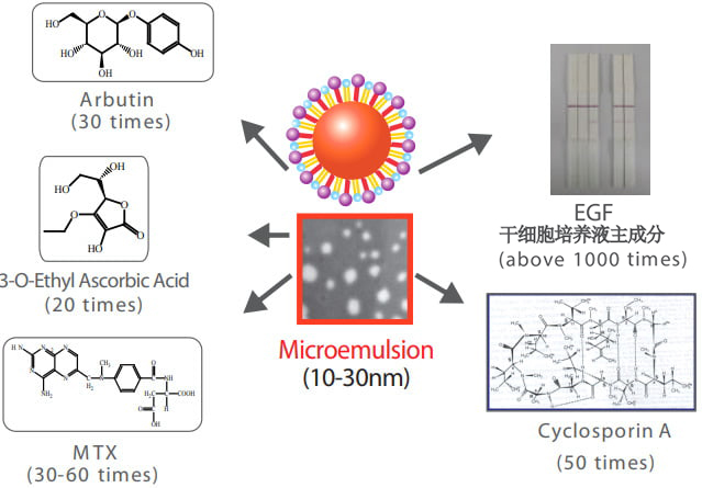 Microemulsion(10~30㎚)